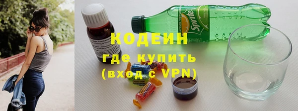 индика Арсеньев