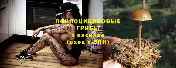 индика Арсеньев