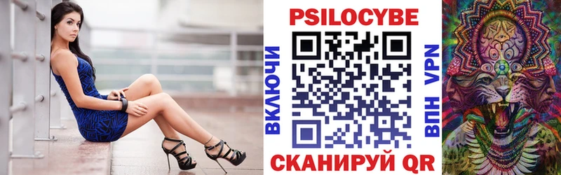 Галлюциногенные грибы Psilocybe  наркошоп  Бакал 